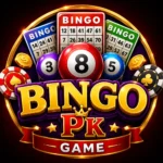 BingoPk Game