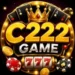 C222 Game