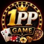 1PP Game