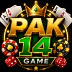 PAK14 Game