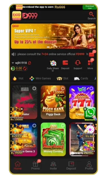 FD 999 Game